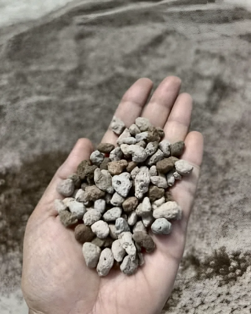 A hand holding small pumice granules